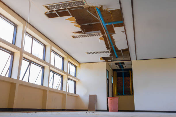 Best Water damage cleanup near me  in Roessleville, NY
