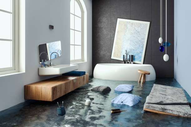 Best Water damage contractors near me  in Roessleville, NY