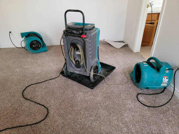 Best 24-hour water damage restoration  in Roessleville, NY