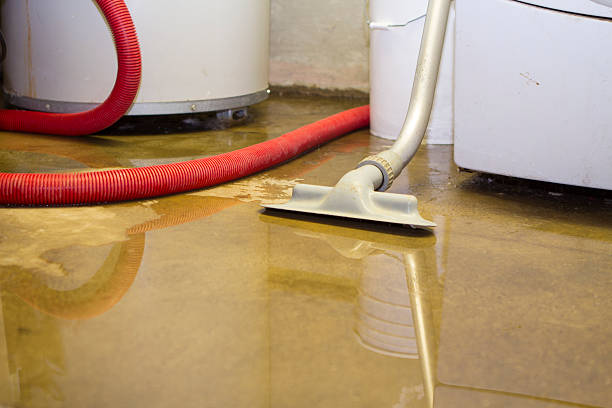 Best Residential water damage restoration  in Roessleville, NY