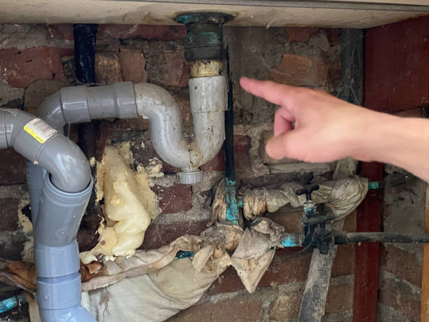 Best Residential water damage restoration  in Roessleville, NY