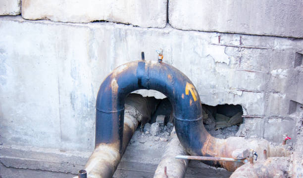 Best Water damage cleanup near me  in Roessleville, NY