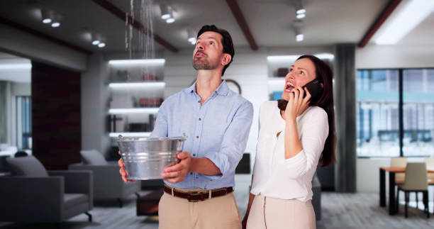 Best Fire Damage Restoration  in Roessleville, NY