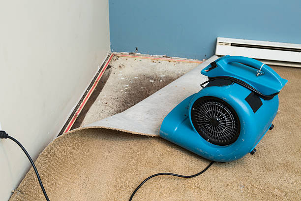 Best Water damage restoration cost  in Roessleville, NY