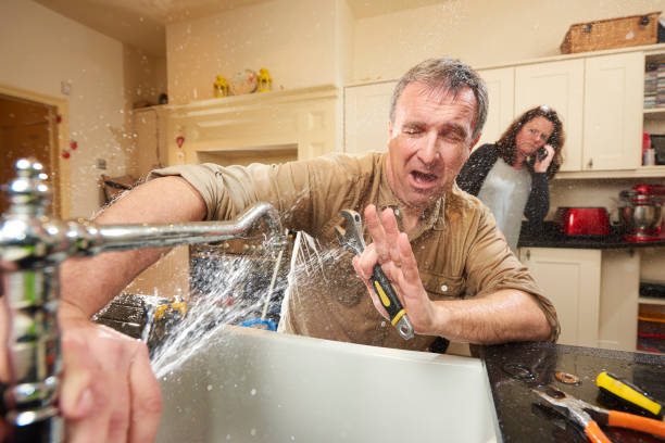 Best Flooded house restoration  in Roessleville, NY